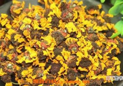 菊花的功效与作用 菊花的药用价值