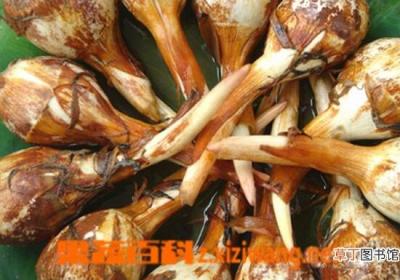 茨菰的功效与作用