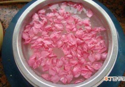 桃花粥怎么做 桃花粥的功效与作用