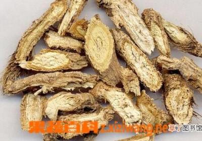 羌活的功效与作用
