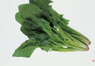 菠菜水泡黑色衣服步骤