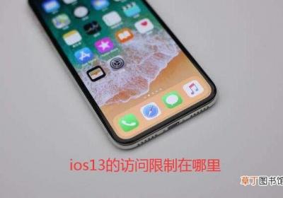 ios13的访问限制在哪里