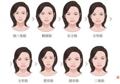 瓜子脸和鹅蛋脸的区别