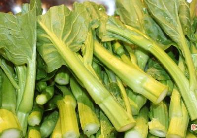 菜心是什么菜