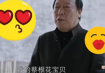 菜根花宝贝什么梗