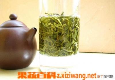 日照绿茶的功效与作用