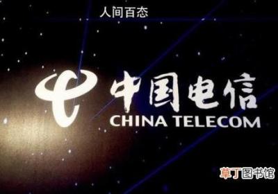 美取消中国电信运营牌照 中方回应