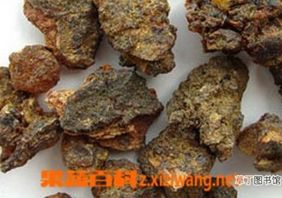 没药的功效与作用有哪些