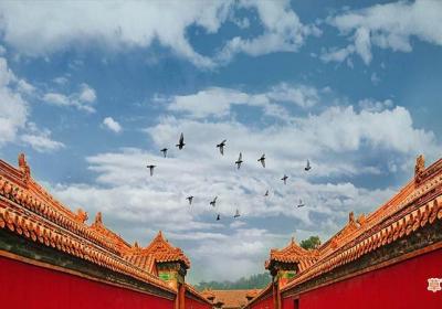 故宫门票可以现场买吗