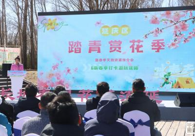 北京延庆踏青赏花季启幕 春日文旅盛宴邀您打卡