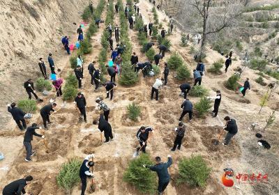 华亭开展2025年春季全民义务植树活动
