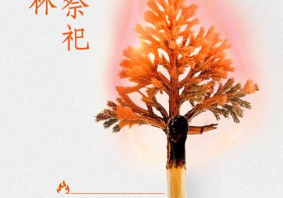 燃放礼炮引山火，邵阳男子被起诉赔偿46万