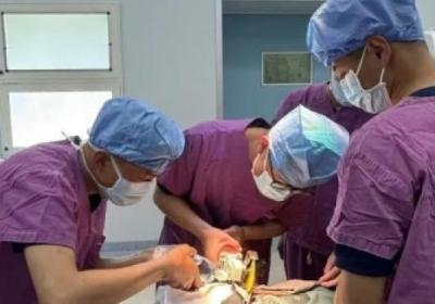 昆明一8岁孩童被铁栅栏刺入面部 消防与医生联合救援