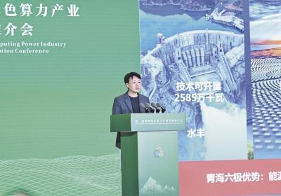【洁净青海·绿色算力】DeepSeek与国产算力共建青海AI产业生态 上海燧原科技股份有限公司创始人、首席运营官 张亚林