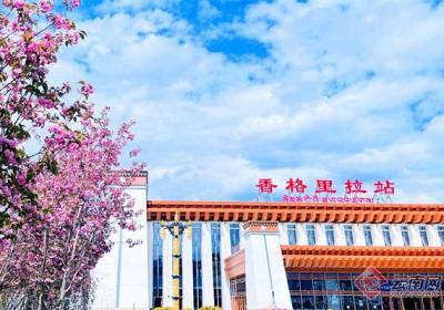 丽香铁路香格里拉站今年一季度发送旅客同比增加42%