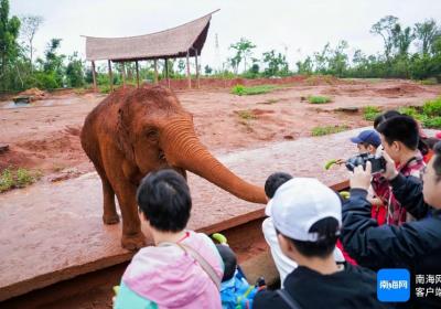旅游 教育 公益！海南热带野生动植物园这场“爱星”活动暖心了