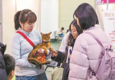 第三届CEIE猫经济产业创新博览会在厦开幕