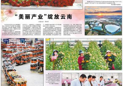 《经济日报》聚焦云南“美丽产业”绽放