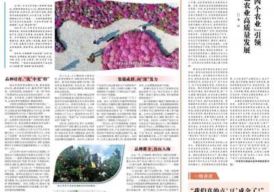 云上奏响丰饶曲 《光明日报》聚焦云南推进高原特色农产品出山