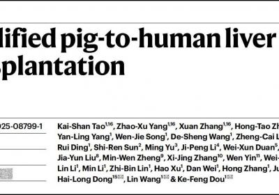 全球首例！我国科学家实现基因编辑猪肝脏人体移植