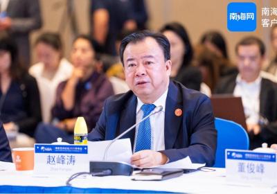 中国国家国际发展合作署副署长赵峰涛：有信心自贸港建设能够取得预期的成功