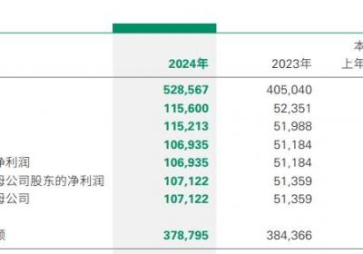 中国人寿2024年归母净利润超千亿 同比大增108.9%