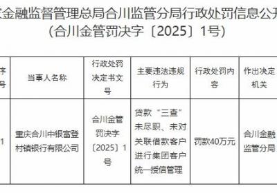 重庆合川中银富登村镇银行被罚40万元