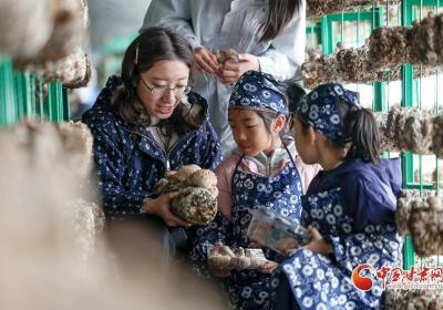 陇拍客|兰州新区：萌娃化身“小农夫” 体验采摘乐趣