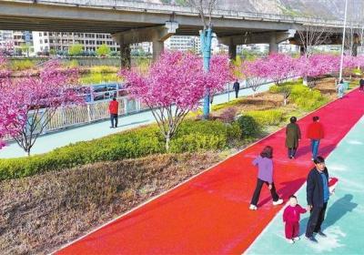 陇南武都春花绽放