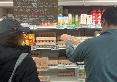 法国年产150亿颗鸡蛋，为何仍面临“蛋荒”？