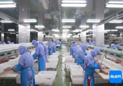 预计同比增产3倍！海南大庄园项目实现第一季度“开门红”