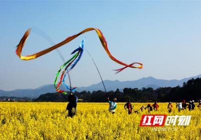 组图丨湖南永州：舞龙飞凤追逐春光