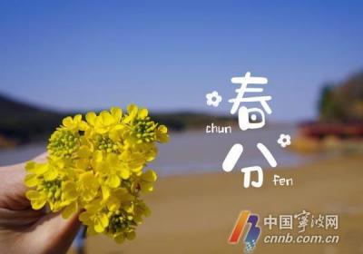 直冲20℃！宁波将上演气温"大反转" "火箭式升温"正式启动