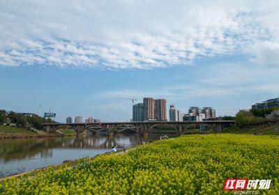 湖南衡阳：油菜花开春意浓 市民畅游享春光