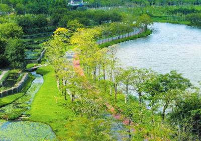 赏绿又享绿 海南131个主要城市公园开放共享草坪422.38公顷