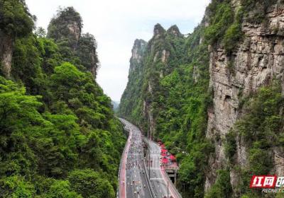 万名跑友参赛！2025张家界武陵源马拉松3月30日开跑