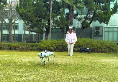 华东理工脑机接口新成果：用意念控制机器狗行动自如