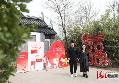 记者走基层｜“婚恋 文旅”，衡水湖畔吹来甜蜜的风