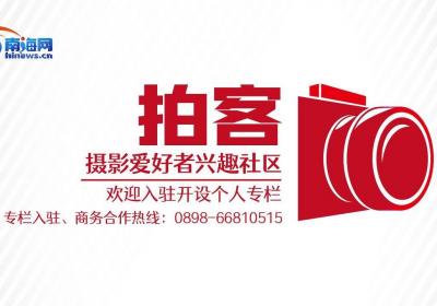 拍客｜这个春天，昌江与你有场木棉之约