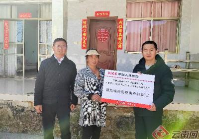 大理永平：核桃价格指数保险稳农增收