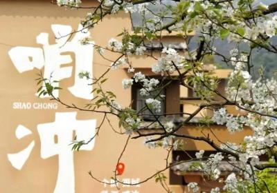 花开四季 “香”约云南丨3月16日，到红河共赏春日梨花雨！