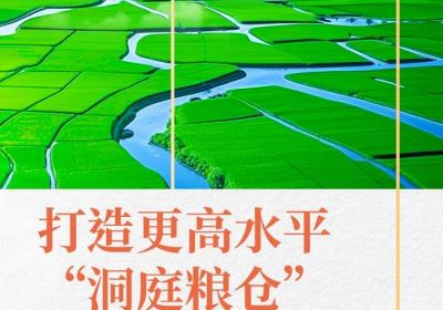 海报丨湖南省委一号文件里的“柴米油盐”