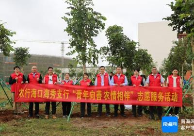 农行海口海秀支行组织开展义务植树活动