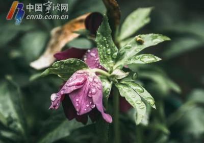 明日降温又降雨 为何入春后天气如此"暴躁"？专家这样解释