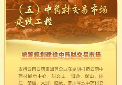 图片解读丨到2027年，全省中药材产业规模继续保持全国第一！一图读懂《云南省中药材产业高质量发展三年行动工作方案2025—2027年》