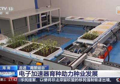 央媒关注：走进“南繁硅谷” 看一颗种子的奇妙之旅