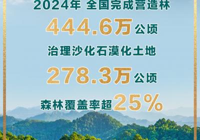森林覆盖率超25%，我国成为全球增绿最快最多的国家