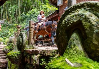 旅居云南丨探索茶咖风情 宁洱的旅居模式