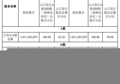 比亚迪成功配售H股 净筹433.83亿港元