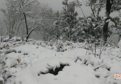 已婚女人梦见下雪是什么意思